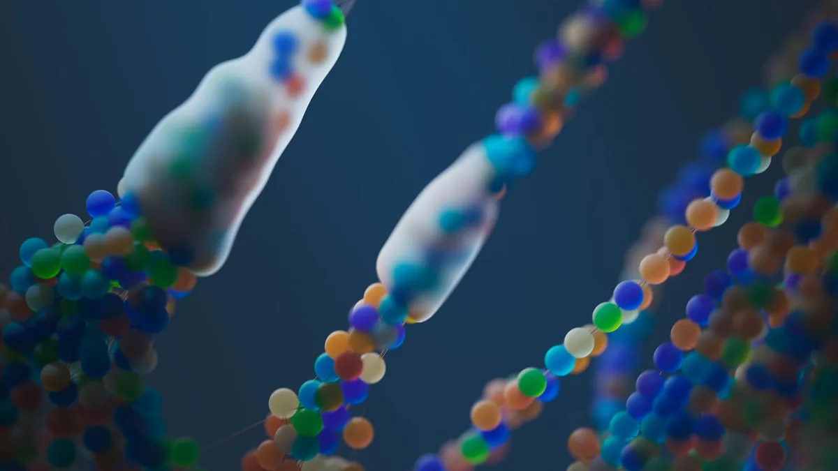 Cellular aging and regenerative medicine at Clínica Eupnea Palamós