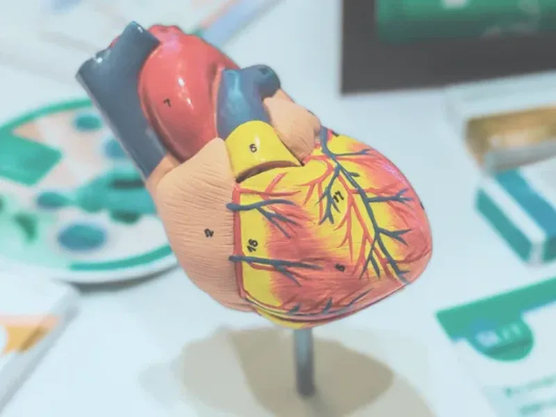 Cardiologia a Palamós - Clínica Eupnea